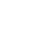 White Facebook icon