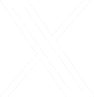 White X icon