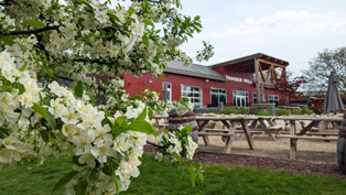 Vander Mill exterior in Spring with crab apple blossoms in the foreground